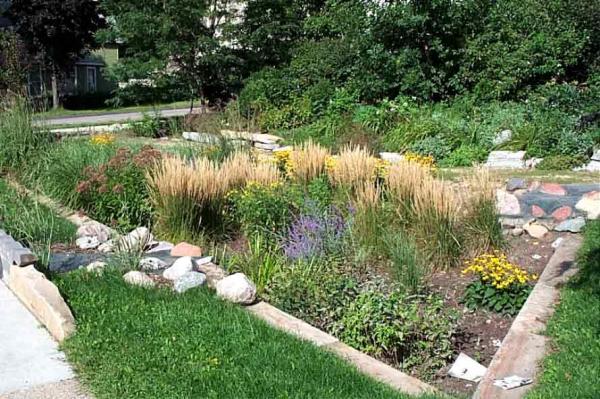 Image for event: Sustainable Stormwater Practices Protect Our Pollinators